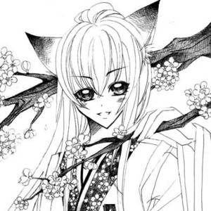 狐狸男-Peach blossom Fox Boys -