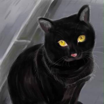 猫のティラ