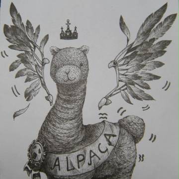 alpaca