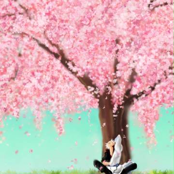 桜咲く頃