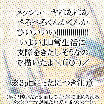 メッシューヤ！