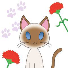 母の日ニャー