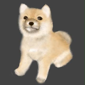 わんこ