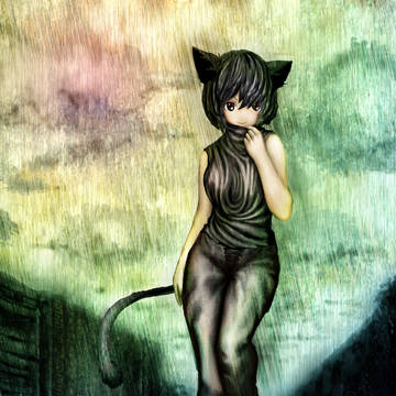 2011年 黒雨の降る、街の黒猫