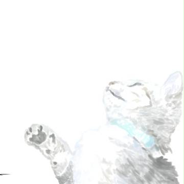 ネコ