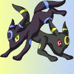 ブラッキー×ブラッキー
