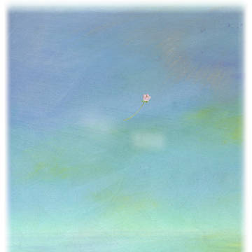 Sky Rose