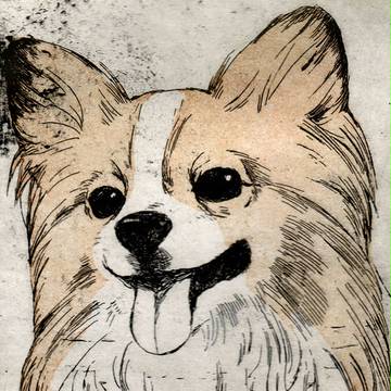 銅版画犬