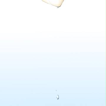 恋に落ちる