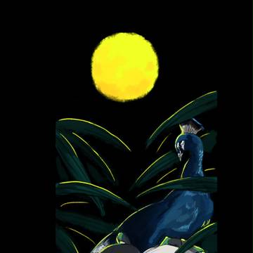 [腐] Peacock
