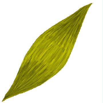 髪の毛のつもりで描いて見た