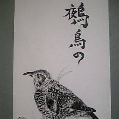トラツグミ