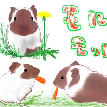 もるもっと