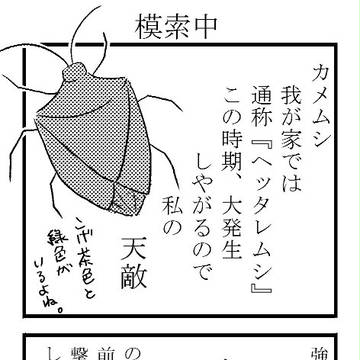 かめむし