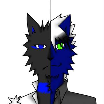 表/裏