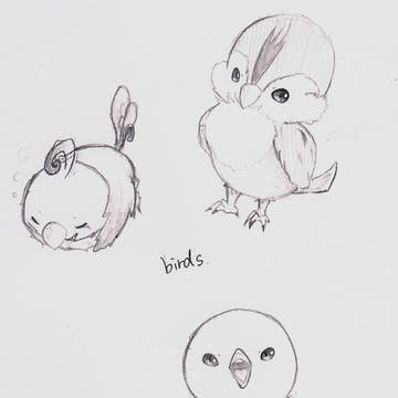 birds.