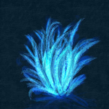 夢