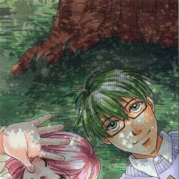 木漏れ日