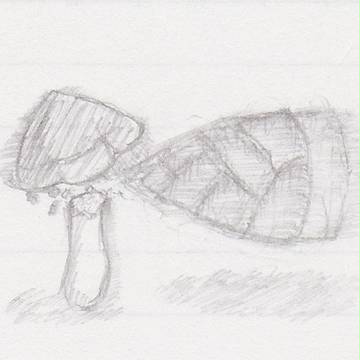 たけのこの里万歳!!