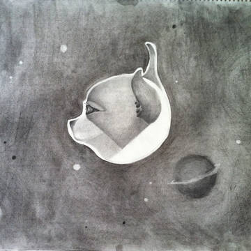 メイ惑星