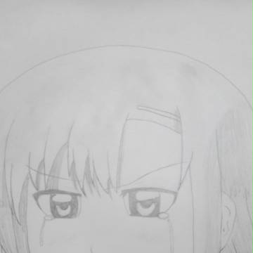 桂ヒナギク