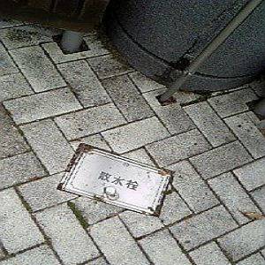 写真素材_02