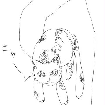 ねこちゃん