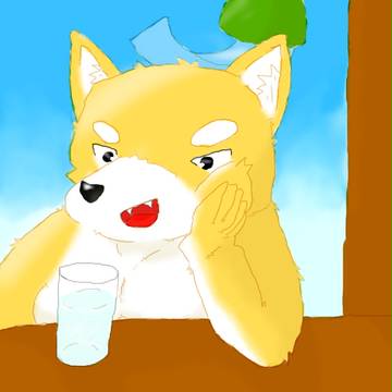 夏の日