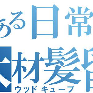 ウッドキューブ