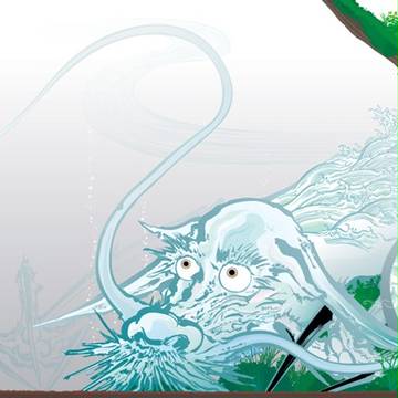 水域