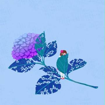 Hydrangea girl