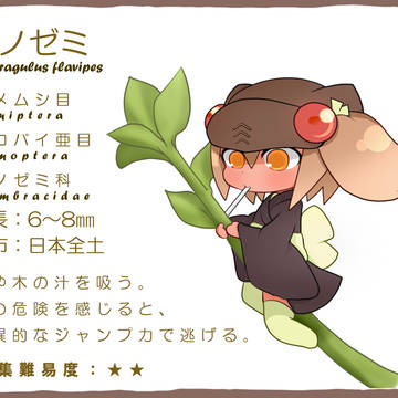 【ぴく虫】ツノゼミ