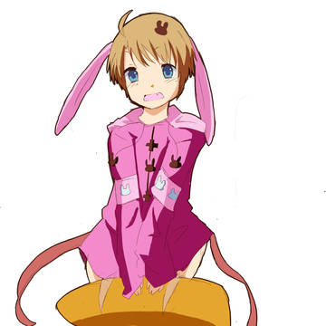 usaみみぱーかー