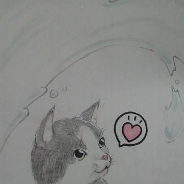 猫