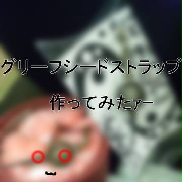 グリーフシードストラップ【その４】