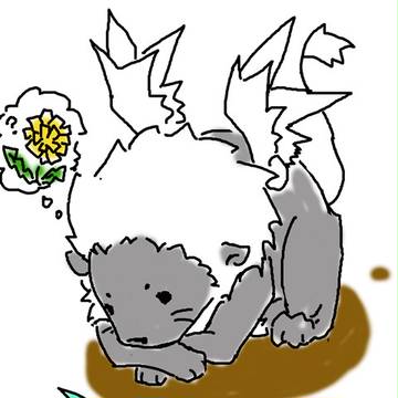 らいよんはつおい！