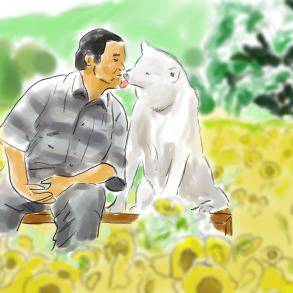 「星守る犬」