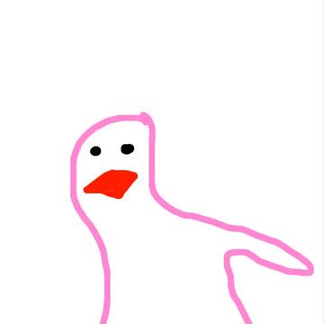 クリオネ文鳥