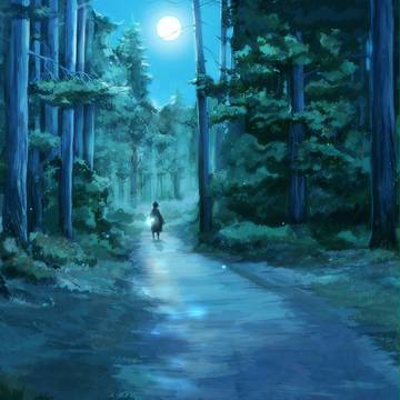 夜の森林のグレア