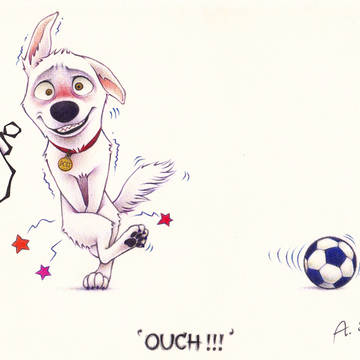 Bolt and Ball