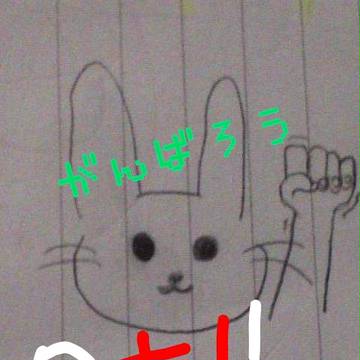 うさぎ