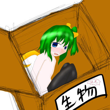 ドンドン!お届け物でーす
