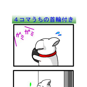 捨ててきなさい