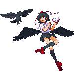 害鳥インタビュー