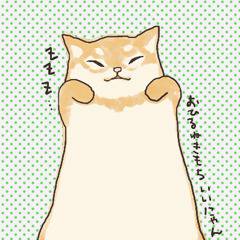 うちの猫