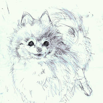 らんちゃん