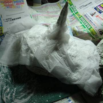 まだまだ諦めるぞ!