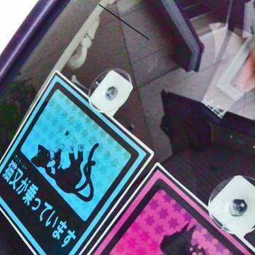 理事長と猫又