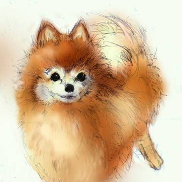 らんちゃんお色