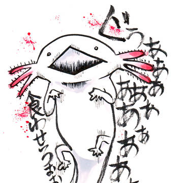 ウーパールーパー